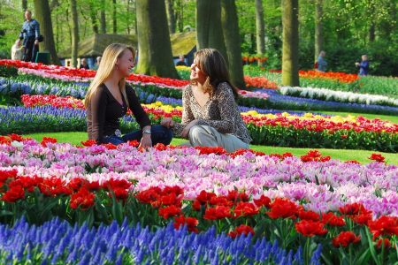 Keukenhof and Flowerfields Tour • 5 Hours by Amsterdam Transfer Services