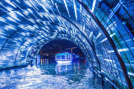 Amsterdam Light Festival Canal Cruise by Amsterdam Boat Experience