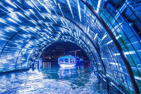 Amsterdam Light Festival Canal Cruise - Saloonboat by Amsterdam Boat Experience