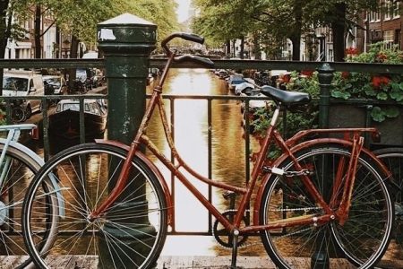 History of Amsterdam - City Center Guided Walking Tour – Semi-Private (ENGLISH) by Babylon Tours Amsterdam