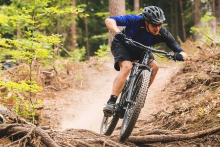 Fietsverhuur Lage Vuursche Fazantenhof by Mountainbikeverhuur Veenendaal