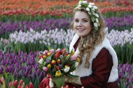 Keukenhof and Flowerfields Tour • 4 Hours by Amsterdam Transfer Services